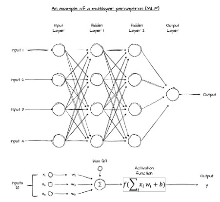 Multi-layer perceptron architecture with input, hidden, and output layers